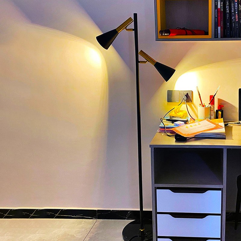 Antizer 2-Bulb Adjustable Pole Floor Lamp