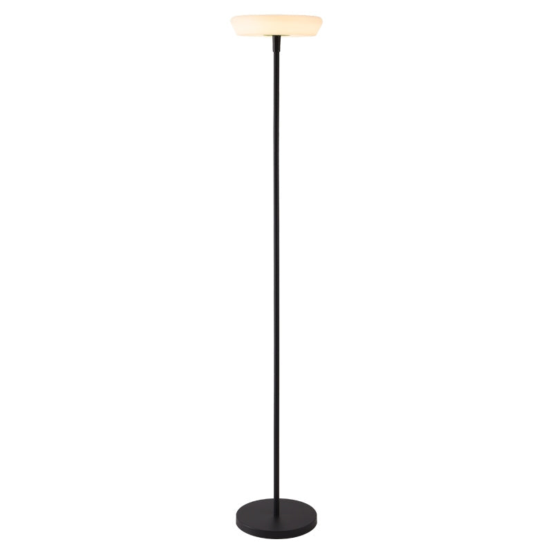 Antizer Outdoor Solar LED Floor Lamp for Garden